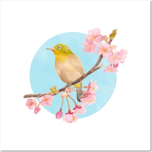 Cape White-eye with Sakura Posters and Art